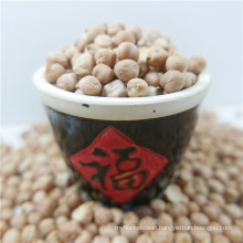 best quality chickpea market price HPS chick pea beans